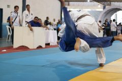 IMG_6353