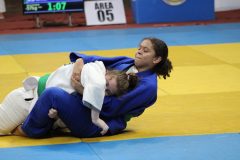 102-IMG_3728