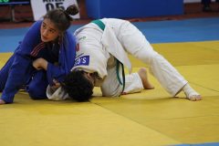 146-IMG_2702