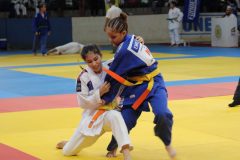 157-IMG_2006