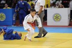 163-IMG_1454