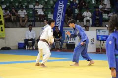 166-IMG_1352