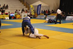 IMG_1238