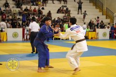 IMG_2026-2