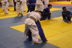 IMG_0054
