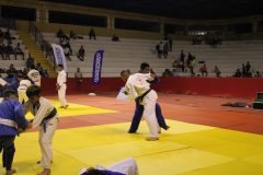 IMG_0078