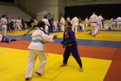 IMG_0089
