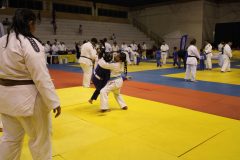 IMG_0100