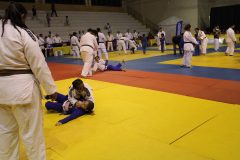 IMG_0101