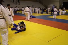 IMG_0103
