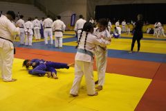 IMG_0234