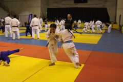 IMG_0237