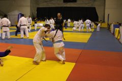 IMG_0238
