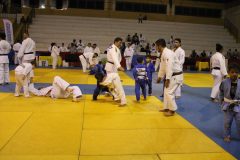 IMG_0382