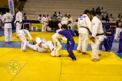 IMG_0385-2