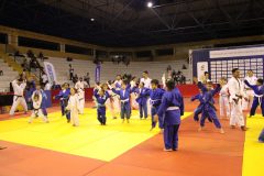 IMG_9662